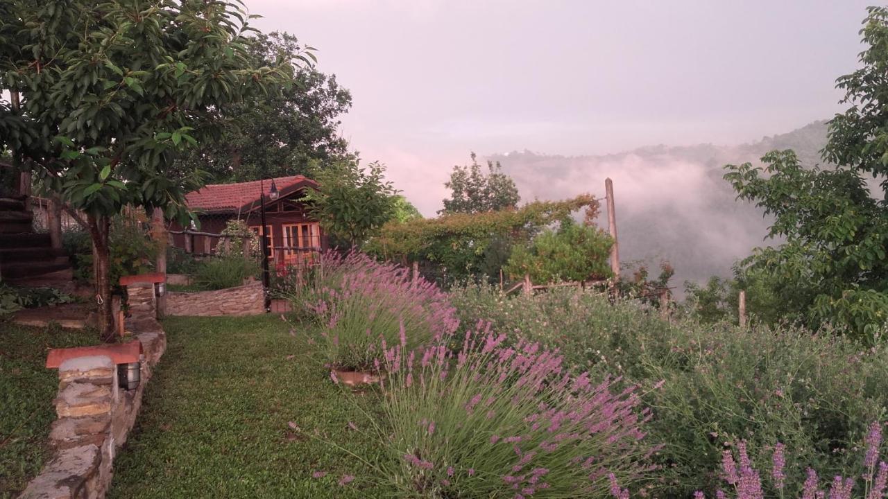 Magiche Langhe Bed & Breakfast Paroldo Exterior foto